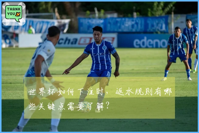 世界杯如何下注时，返水规则有哪些关键点需要了解？
