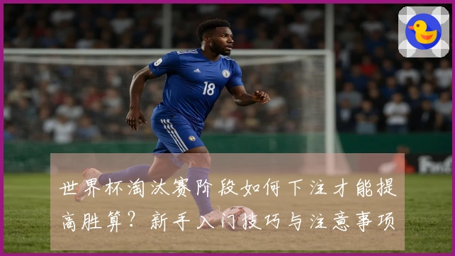 世界杯淘汰赛阶段如何下注才能提高胜算？新手入门技巧与注意事项