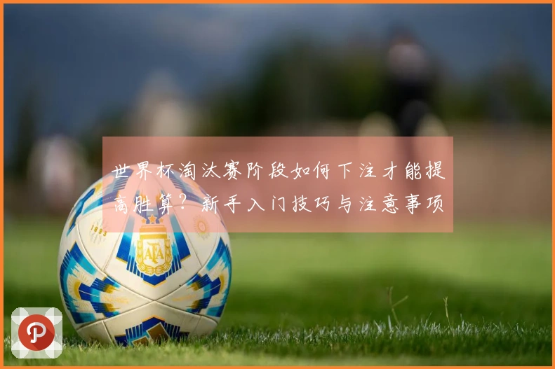 世界杯淘汰赛阶段如何下注才能提高胜算？新手入门技巧与注意事项 - 友博体育体育资讯
