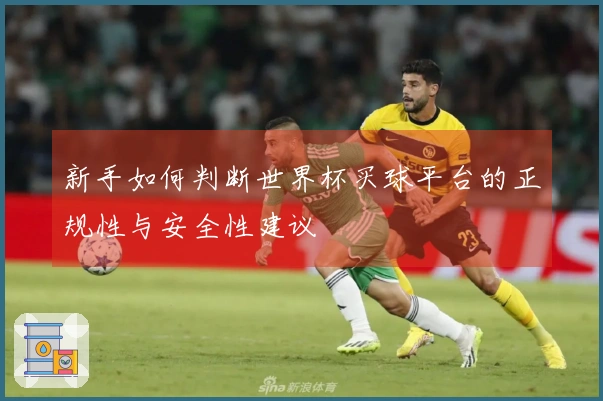 新手如何判断世界杯买球平台的正规性与安全性建议