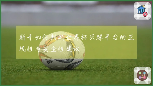 新手如何判断世界杯买球平台的正规性与安全性建议