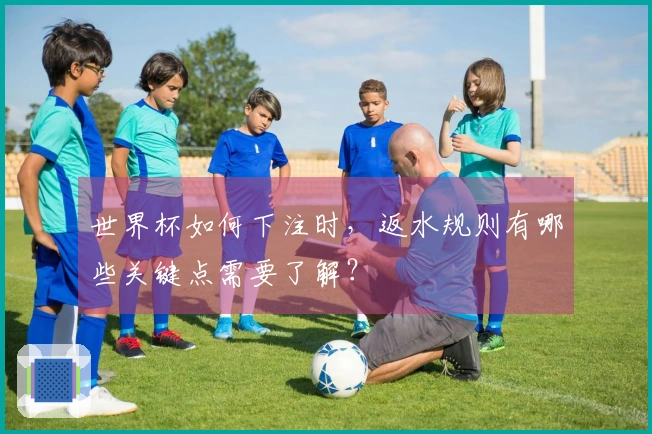 世界杯如何下注时，返水规则有哪些关键点需要了解？