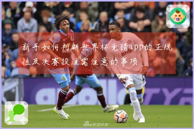 新手如何判断世界杯竞猜app的正规性及决赛投注需注意的事项