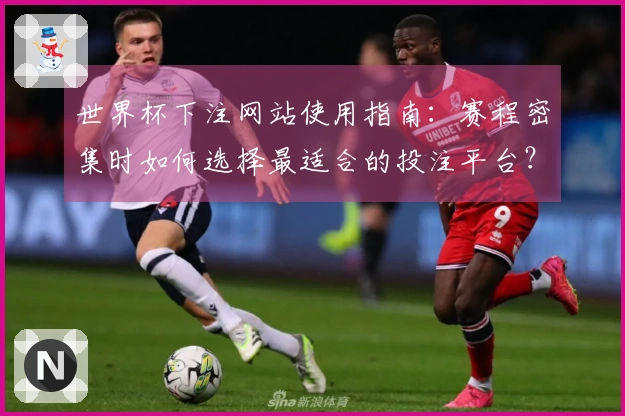 世界杯下注网站使用指南：赛程密集时如何选择最适合的投注平台？ - 体育知识阅读